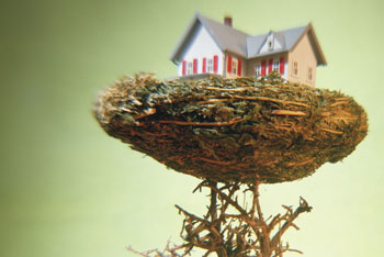 House in a bird nest