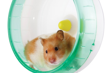 Hamsterwheel