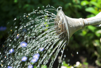 watering can