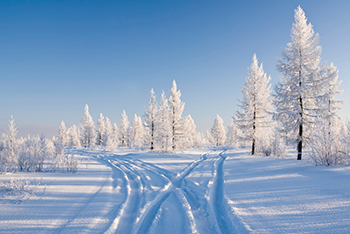 snow tracks