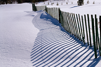 fence in winter