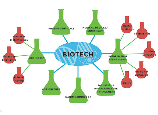 Figure 3: Overview of the Biotechnology Industry and the Diverse Fields it Impacts