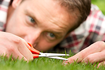 cutting grass with a scissors