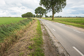 roadside ditch