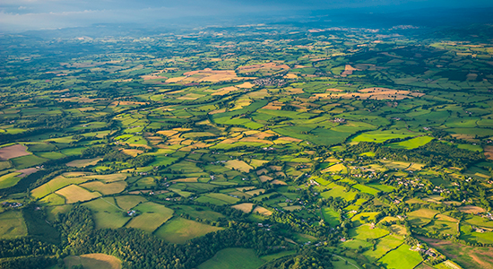 aerial view from a drone