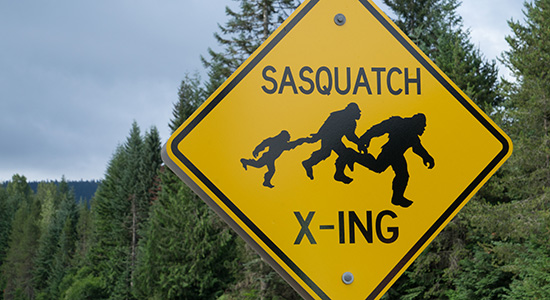 Sasquash crossing