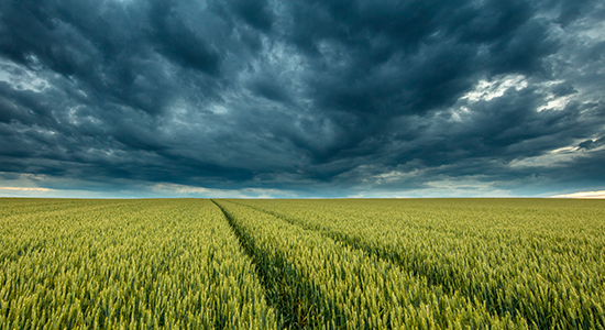 storm clouds above field