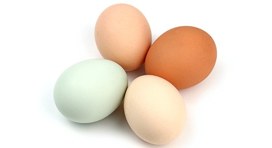 eggs