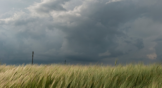 grey clouds above field