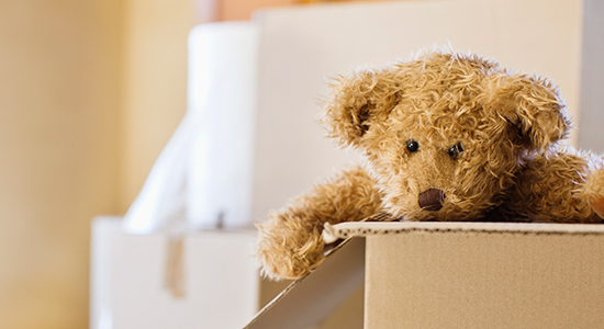 teddy bear in box