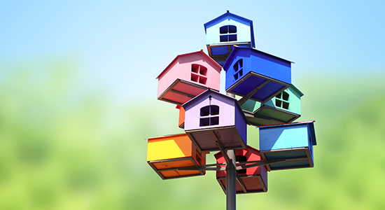 bird houses