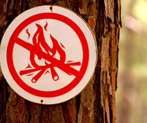 Double damages are not mandatory in   forest fire   cases involving negligence