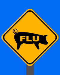 swine flu