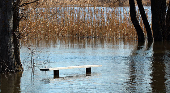 flooded bench