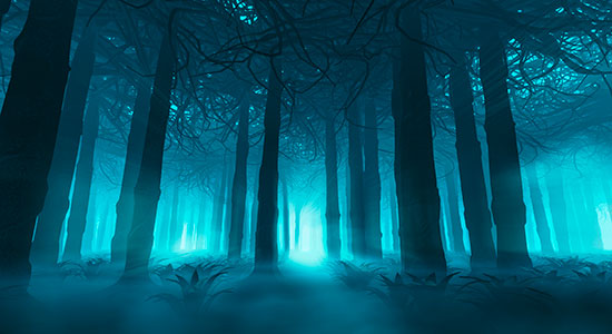 glowing forest