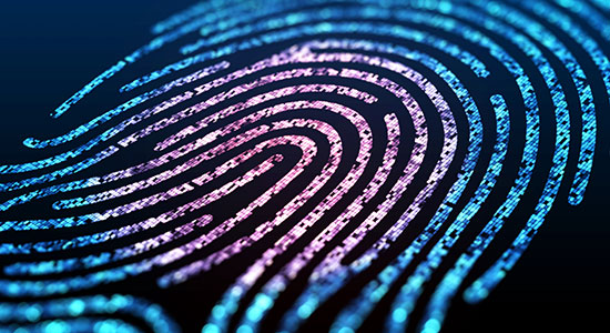 digital fingerprint