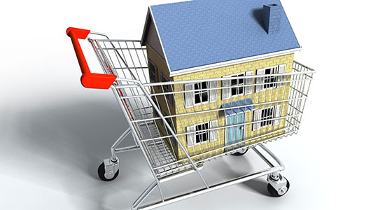 house in shopping cart