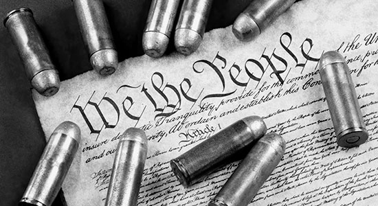 bullets and constitution
