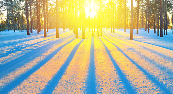 sunrise in winter forest