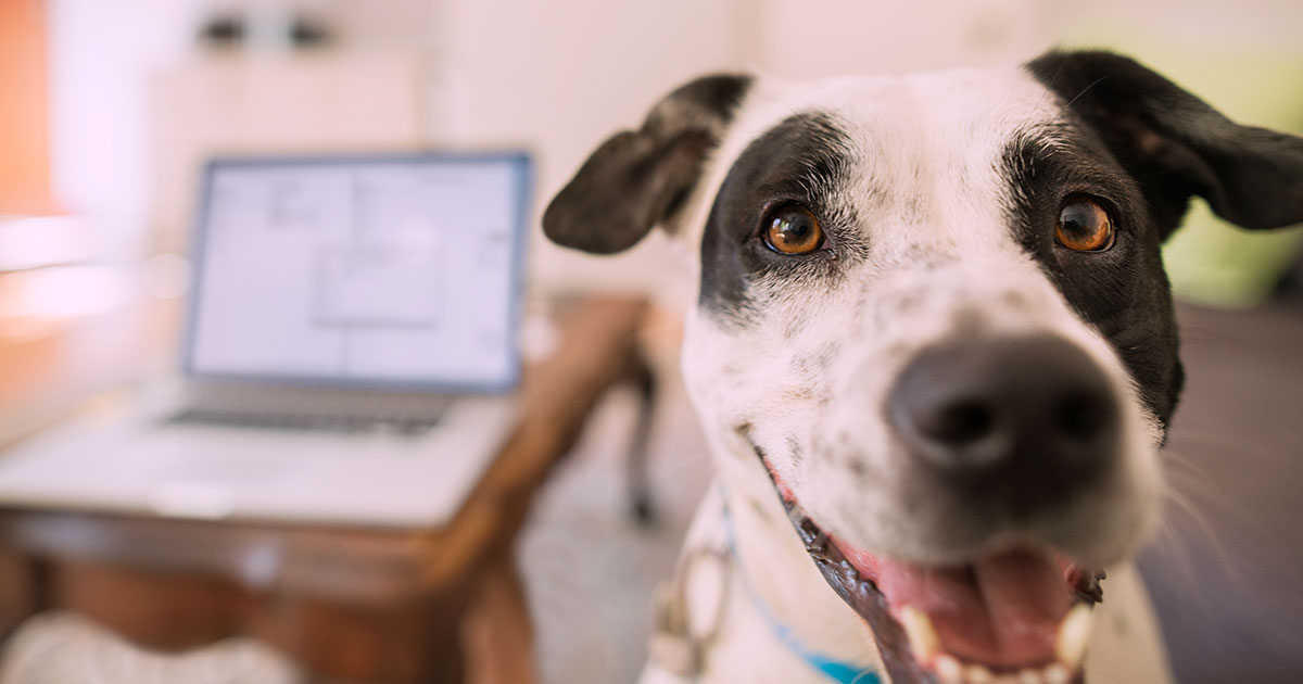 Wisconsin Lawyer Working Remotely What Are Your Ethical Obligations?