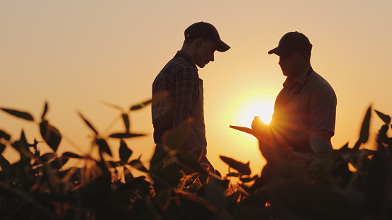 Agriculture