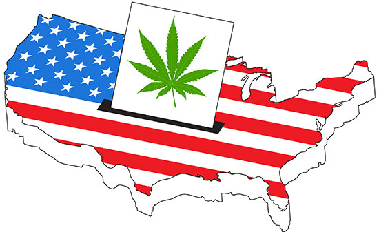 America with marijuana ballot