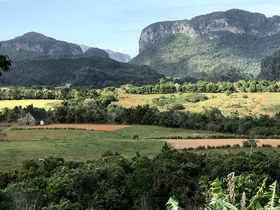 Cuban countryside