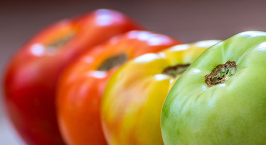 colored tomatoes