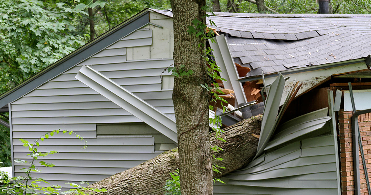 house with tree damage