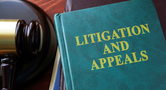 Litigation & Appeals