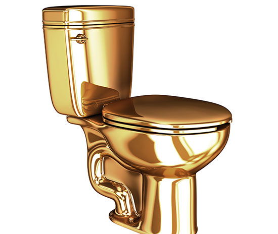 golden toilet