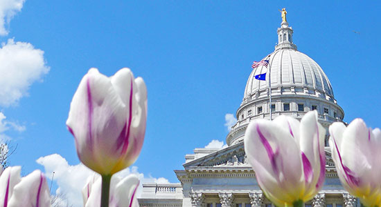 Wisconsin state capitol and flowers